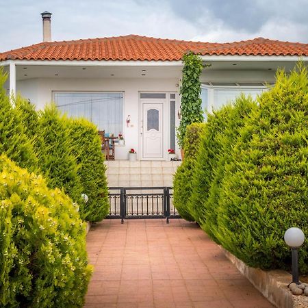 Vineyard Country House With Panoramic Seaview Aleksandropolis Zewnętrze zdjęcie