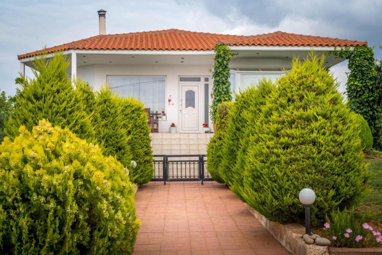 Vineyard Country House With Panoramic Seaview Aleksandropolis Zewnętrze zdjęcie