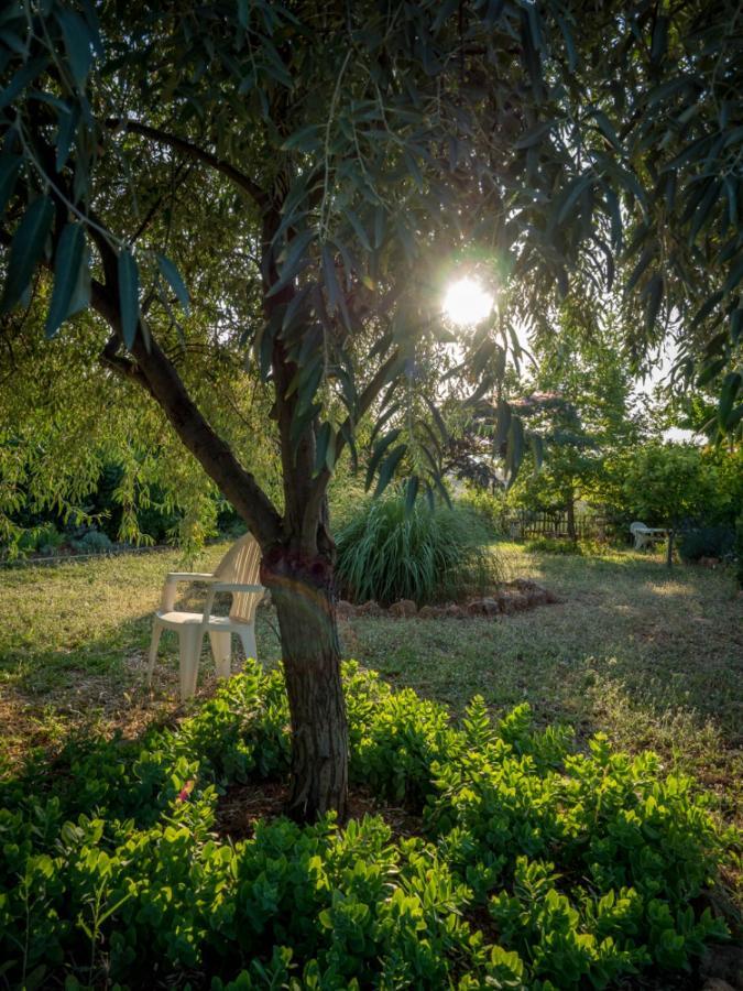 Vineyard Country House With Panoramic Seaview Aleksandropolis Zewnętrze zdjęcie