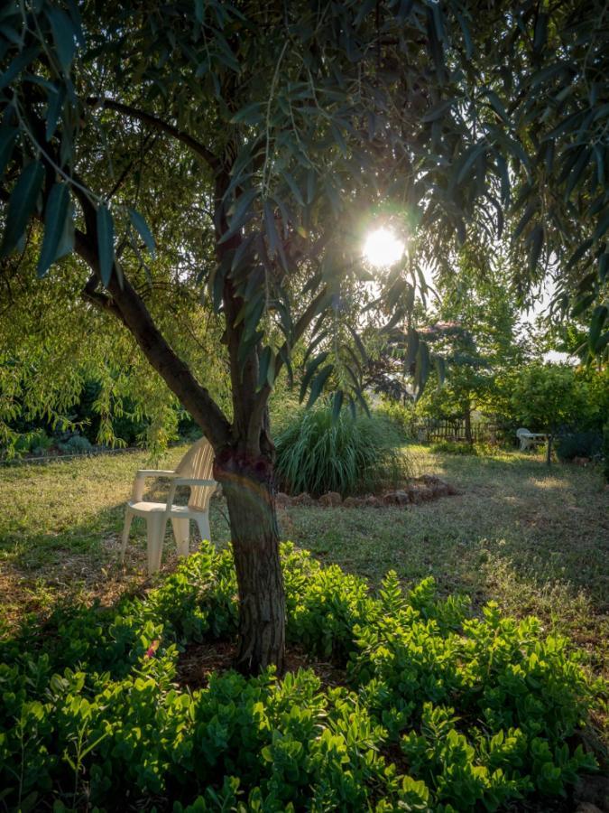 Willa Vineyard Country House With Panoramic Seaview Aleksandropolis Zewnętrze zdjęcie