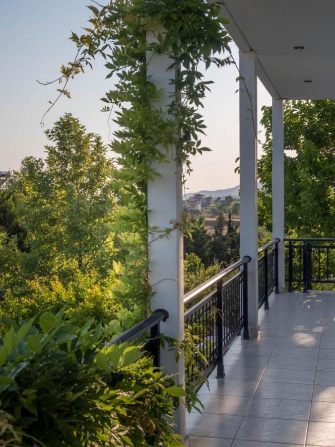 Vineyard Country House With Panoramic Seaview Aleksandropolis Zewnętrze zdjęcie