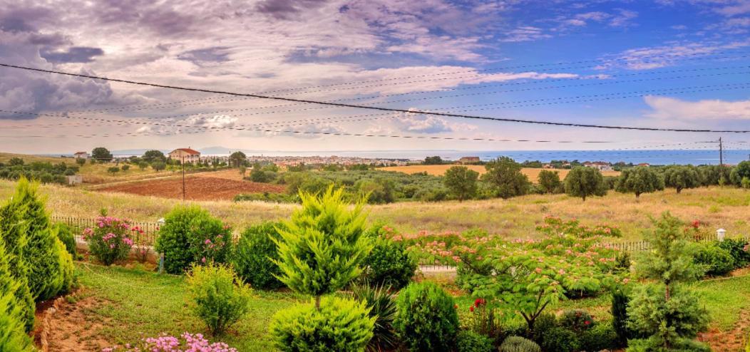 Willa Vineyard Country House With Panoramic Seaview Aleksandropolis Zewnętrze zdjęcie