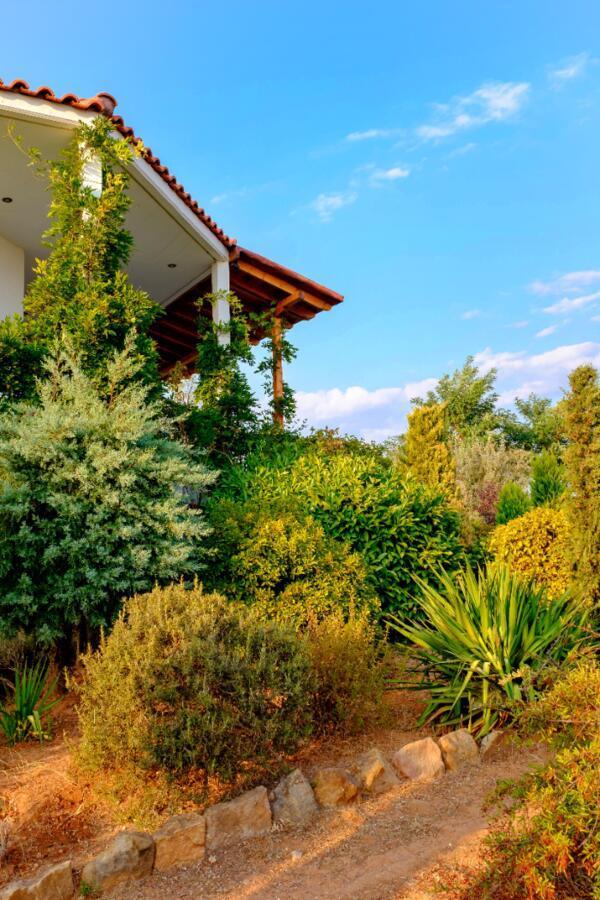 Willa Vineyard Country House With Panoramic Seaview Aleksandropolis Zewnętrze zdjęcie