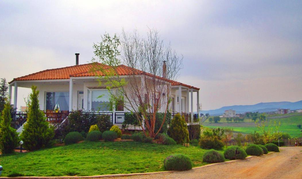 Vineyard Country House With Panoramic Seaview Aleksandropolis Zewnętrze zdjęcie