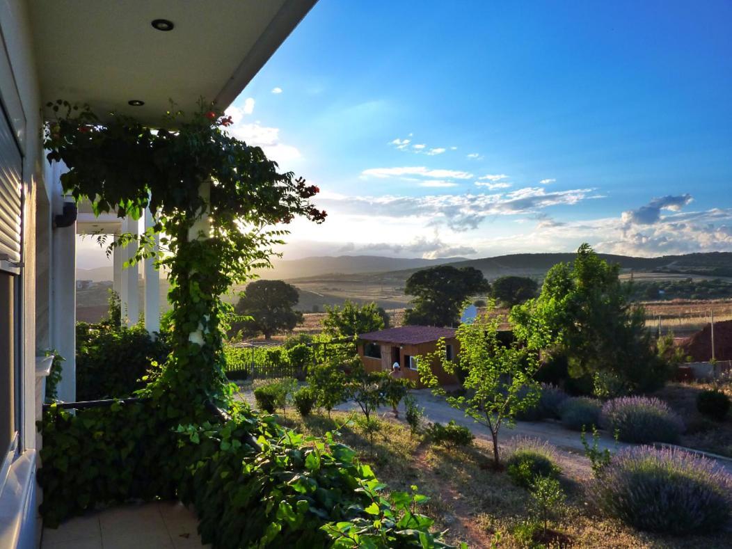 Vineyard Country House With Panoramic Seaview Aleksandropolis Zewnętrze zdjęcie